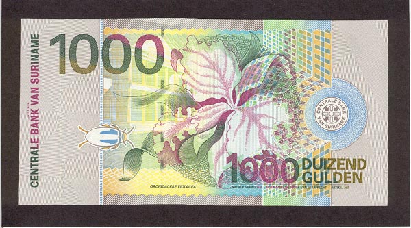 Suriname - SurinamPNew-1000Gulden-2000-donated_b.jpg
