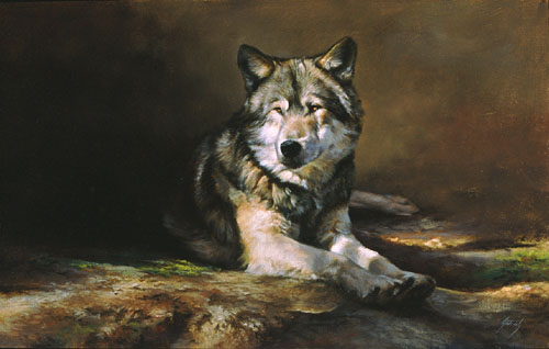 Aldrich Edward - Wolf_500px.jpg