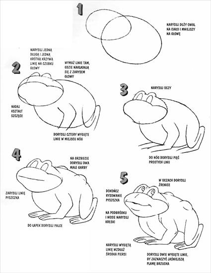 nauka rysowania dla dzieci - żaba1.jpg