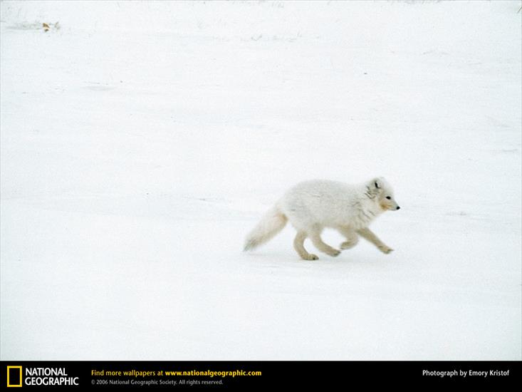 NatiOnal geOgraphic - 97.jpg