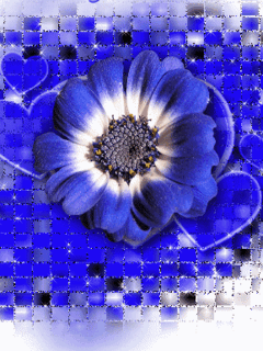 ANIMACJE KWIATOWE - Blueflower.gif