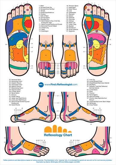 ponad 200 super pozycji o zdrowiu - Refleksologia - Foot Chart 1.gif