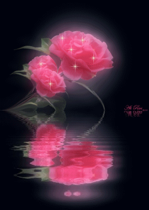 gify róże - roza animation  rozowa odbicieaf143fw8.gif