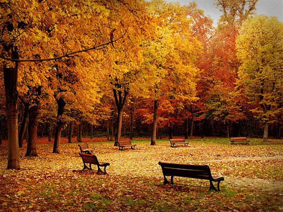 RUCHOME OBRAZKI - Jesień w parku.gif