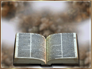RELIGIJNE - jezus i biblia.gif