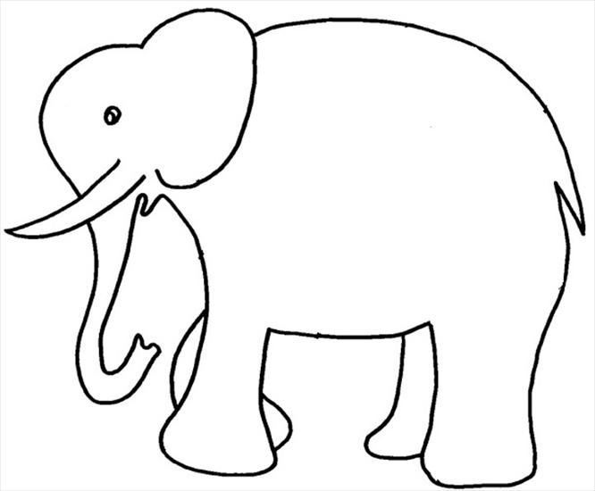 Zwierzątka - elephant3.jpg