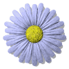 kwiaty - 123.gif