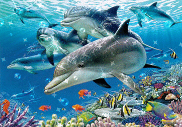Gify ryby i delfiny - animais003.gif
