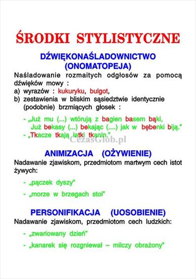 Język Polski - TABLICE - Środki stylistyczne.jpg