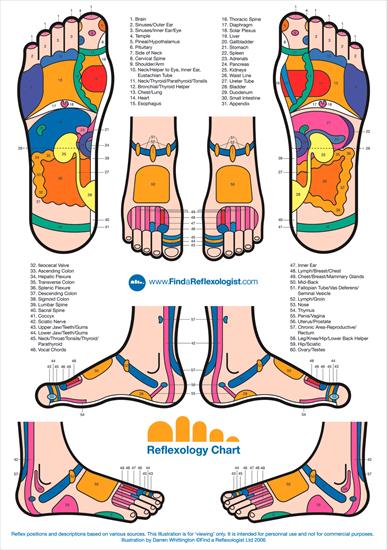 INNE - Reflexology_Foot_Chart1.gif