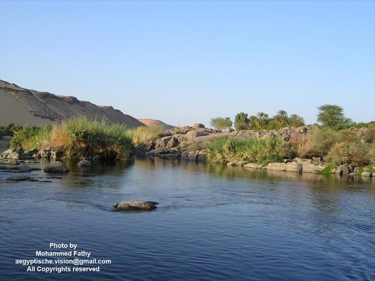 Przyroda - Przyroda w Aswan 469.jpg