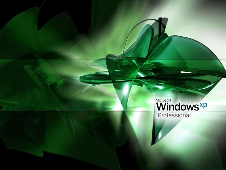WINDOWS XP - wallpxp8.jpg