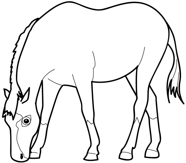  Zwierzaki - Koń.gif