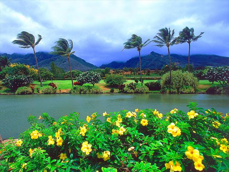 Tapety na pulpit - Maui Tropical Plantation, Hawaii.jpg