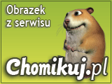 Ramki do fotek - Ramka z kwiatami 317.png