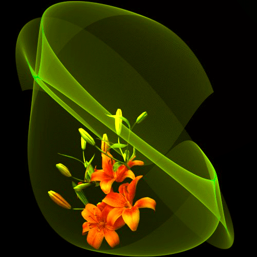 Kwiaty Chomisia52 - kwiaty.jpg