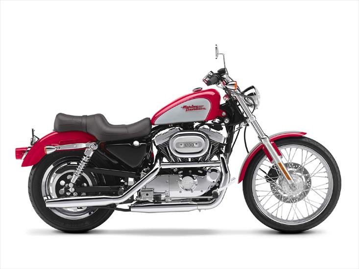Harley Davidson - Harley-Davidson_XL_1200_Sportster.jpg